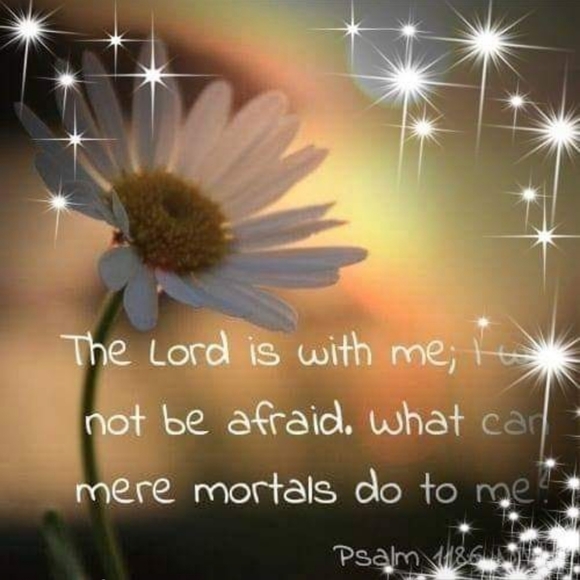 Meet your Posher, Lori - Picture 2 of 6